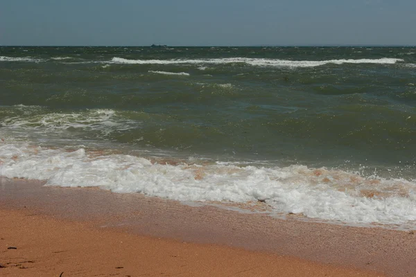 Tle Morza Czarnego Piasku Muszle — Zdjęcie stockowe
