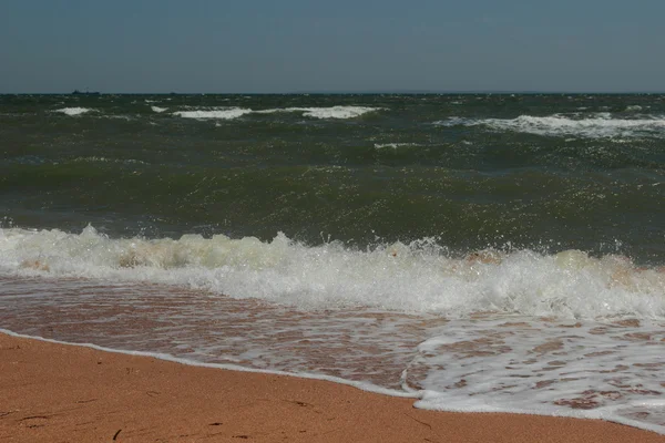 Black sea sand and shells — Zdjęcie stockowe