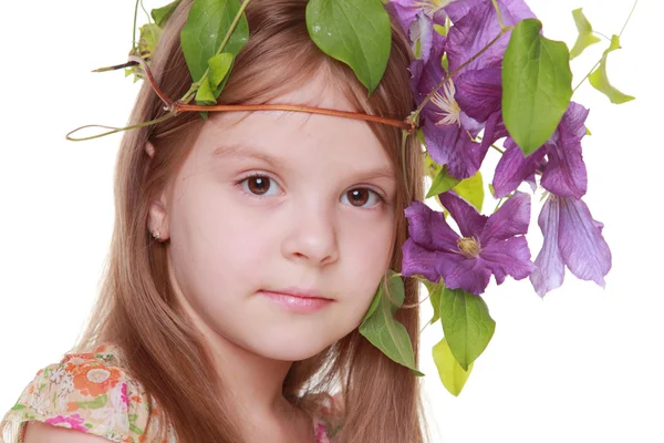 Studio portrait — Stock Photo, Image