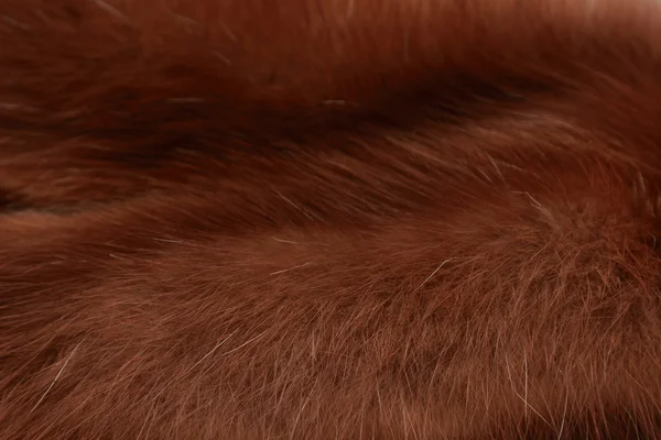 Textura fundo de raposa polar peludo — Fotografia de Stock