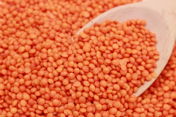 Lentils — Stock fotografie