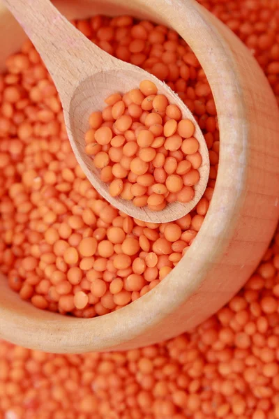 Lentils — Stock fotografie