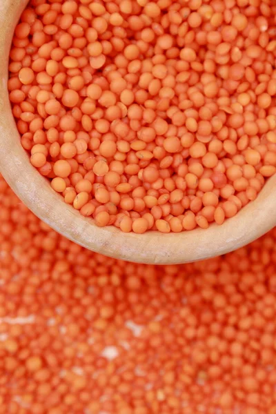 Lentils — Stock fotografie