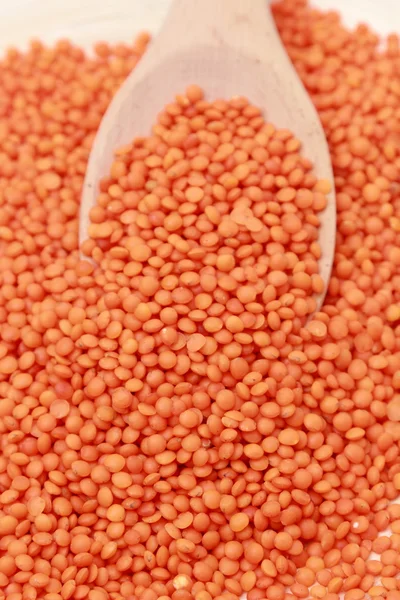 Lentils — Stock fotografie