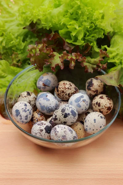 Delicious and healthy food — Stock Photo, Image