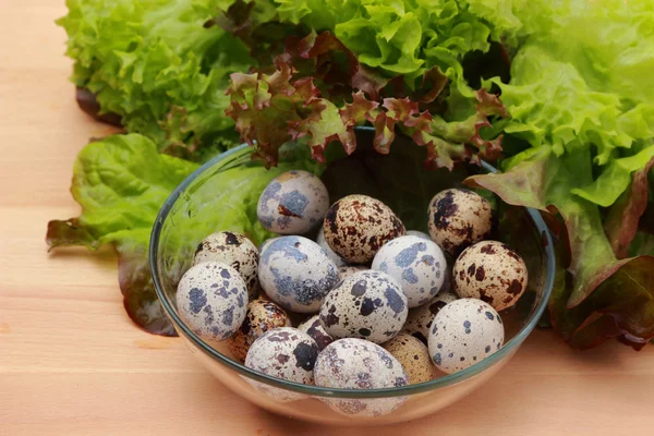 Eco eggs — Stock Photo, Image