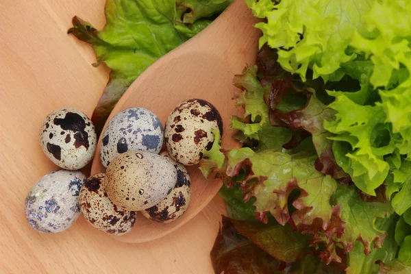 Lettuce Leaf Eco Quail Eggs — Stock Photo, Image