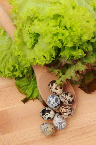 Eco eggs — Stock Photo, Image