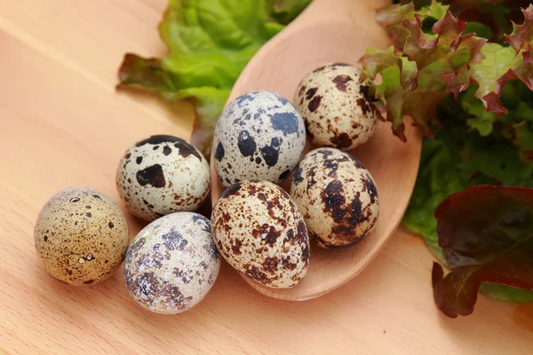 Eco eieren — Stockfoto
