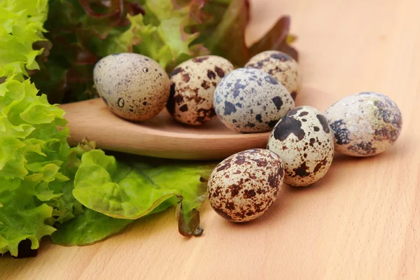 Eco eggs — Stock Photo, Image