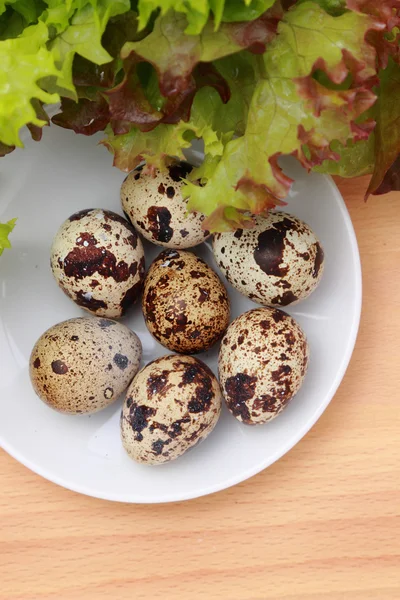 Cibo delizioso — Foto Stock