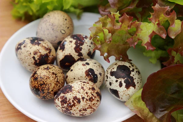 Eco eggs — Stock Photo, Image