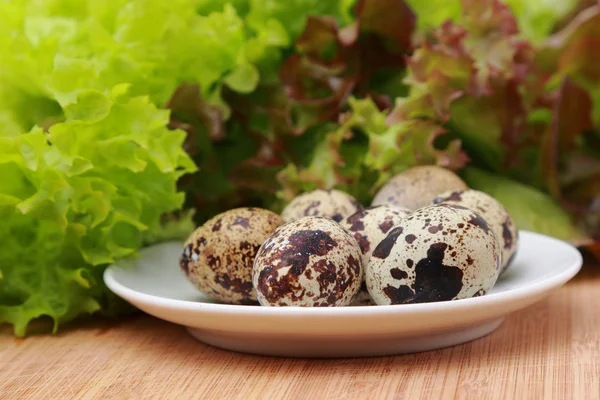 Lekker eten — Stockfoto