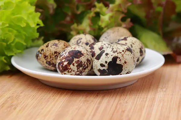 Marul Yaprağı Eko Bıldırcın Yumurtası — Stok fotoğraf