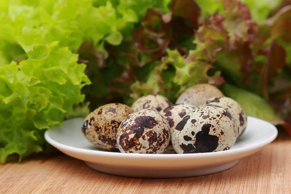 Eco eggs — Stock Photo, Image