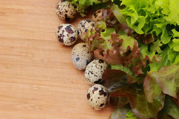 Eco eggs — Stock Photo, Image