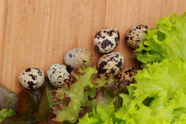 Eco eggs — Stock Photo, Image