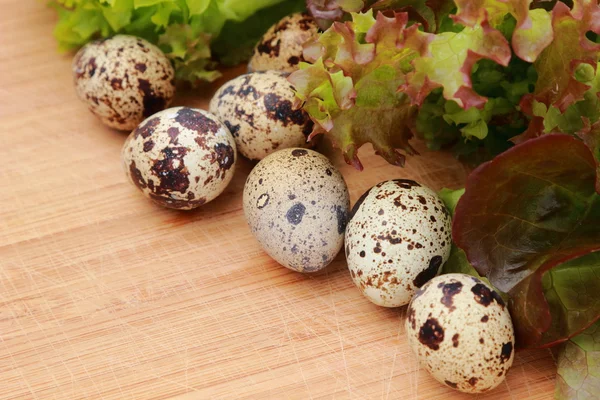 Eco eggs — Stock Photo, Image