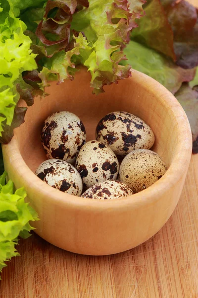 Eco eggs — Stock Photo, Image