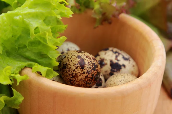 Eco eggs — Stock Photo, Image