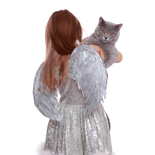 Pretty smiley little angelic girl holding lovely cat — Stock Photo, Image