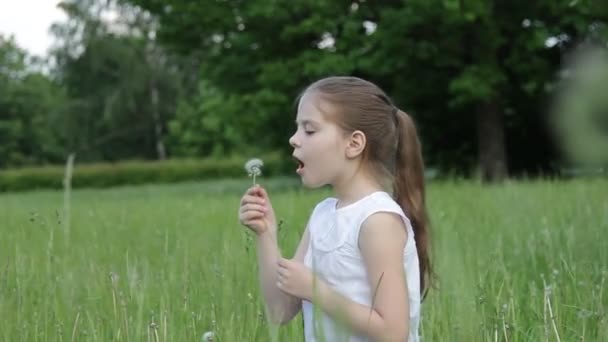 Kind bläst Löwenzahnsamen — Stockvideo