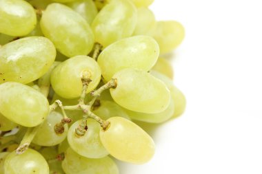 taze yeşil üzüm