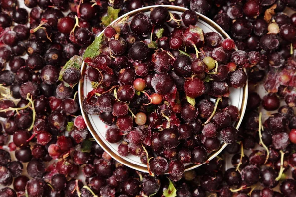 Yummy frozen berries — Stock Photo, Image