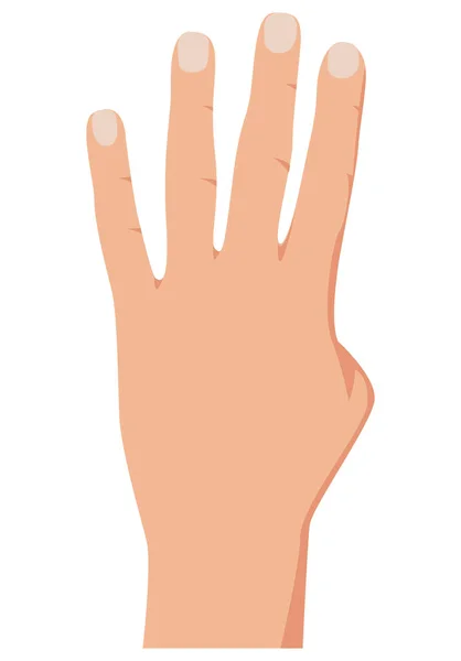 Gesto de mão contando quatro, ilustração mão contagem realista. O gesto da mão número 4. Isolado no backgound branco. Vetor — Vetor de Stock