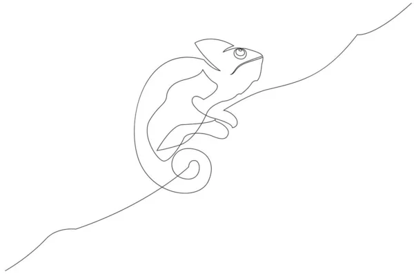 Dibujo de una línea de camaleón. Ilustración continua de líneas sobre fondo blanco. — Vector de stock