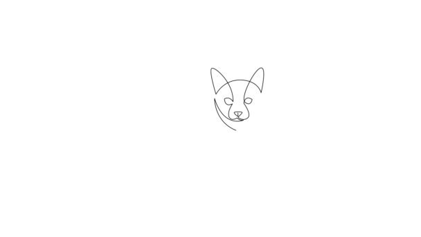 Auto dibujo animación simple de una sola línea continua dibujo gatito gato animal. Dibujo a mano video. — Vídeo de stock