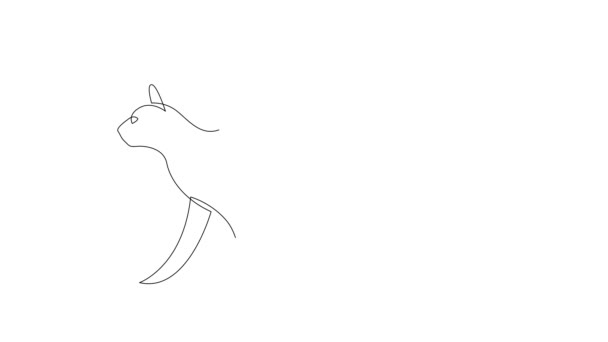 Self drawing simple animation of single continuous one line drawing kitten pet cat animal. Drawing by hand video. — Stock Video