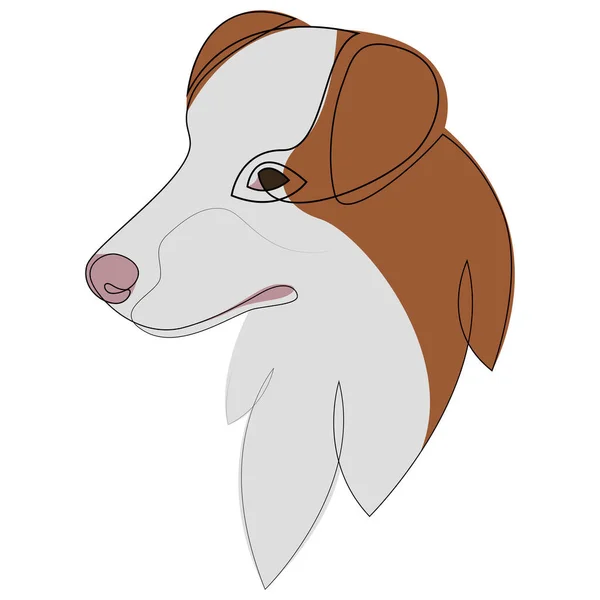 Australian Shepherd retrato cão vetor. Linha contínua. Desenho de linha de cão com cor. — Vetor de Stock