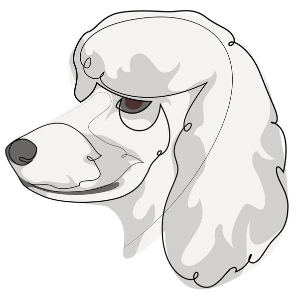 Línea continua White French Poodle. Estilo mínimo de una sola línea Poodle perro vector ilustración. Retrato. — Archivo Imágenes Vectoriales