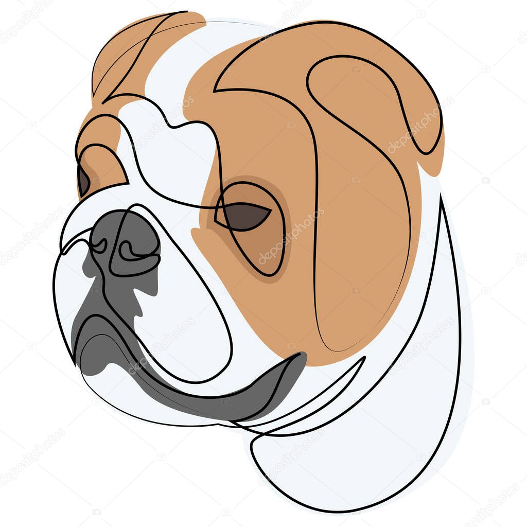 English Bulldog vector dog portrait. Continuous line. Dog line drawing with colour.