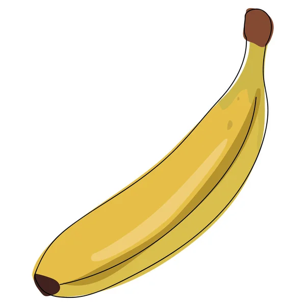 Vectorbanaan. Verse bananenvruchten geïsoleerd op witte achtergrond — Stockvector