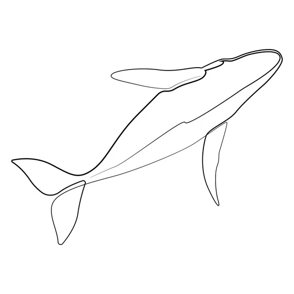 Jedna linie velryby design silueta. Ručně kreslené zobrazení vektoru minimalismu — Stockový vektor