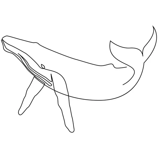 Eine Linie Wal Design Silhouette. Handgezeichnete minimalistische Vektor-Illustration — Stockvektor