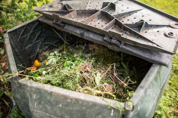 Plastic composter in a garden — Stock Photo, Image