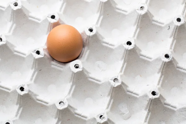 Eggs on white background — Stock Photo, Image