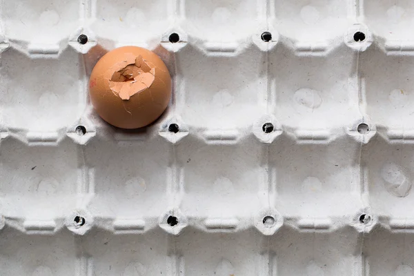 Яйца на белом фоне — стоковое фото