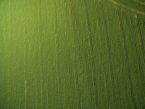 Terras agrícolas de cima - imagem aérea de um verde exuberante arquivado — Fotografia de Stock