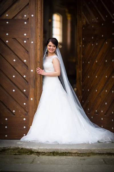 Portrait of a young wedding couple on their wedding day — Stock Photo, Image