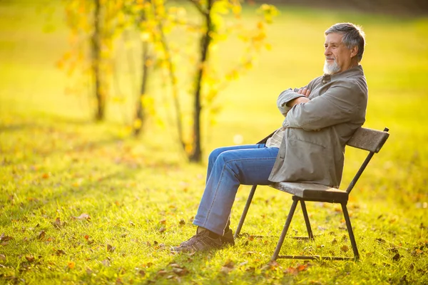 Porträt eines älteren Mannes im Freien, der auf einer Bank in einem Park sitzt — Stockfoto