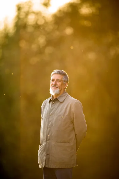 Portrait of a senior man outdoors, walking in a park — Stock Photo, Image