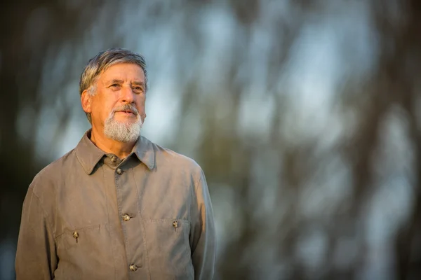 Portrait of a senior man outdoors, walking in a park — Stock Photo, Image