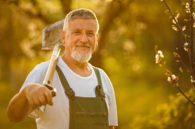 Komuta sizde kendi bahçe bahçecilik