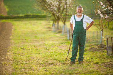 senior man gardening in his garden clipart