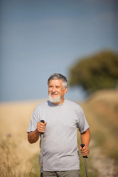Senior hombre nórdico caminar al aire libre — Foto de Stock