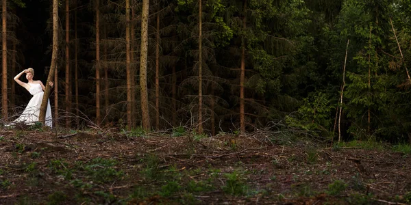 Ihana morsian hääpäivänään ulkona metsässä — kuvapankkivalokuva